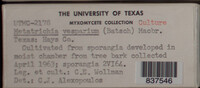 Image Associated With the Occurence
